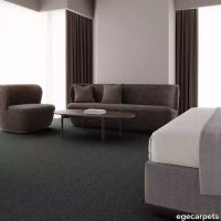 12-RF5500573.webp thumb image