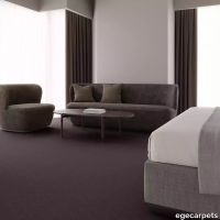 12-RF5500577.webp thumb image