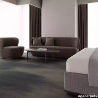 12-RFM55952016.webp thumb image
