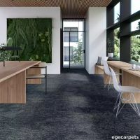 17-713001248.webp thumb image