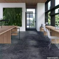 17-713003148.webp thumb image