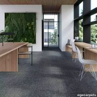 17-713101148.webp thumb image