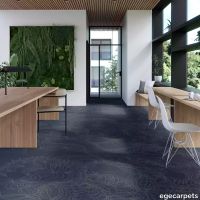 17-RF5500552.webp thumb image