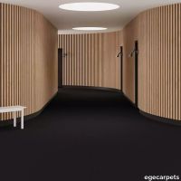 6-067680048.webp thumb image