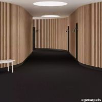 6-069159048.webp thumb image