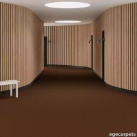 6-069266048.webp thumb image