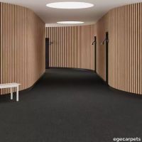 6-0840335.webp thumb image