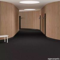 6-0845740.webp thumb image