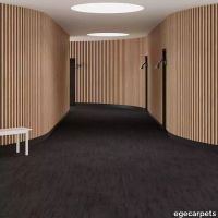 6-088603448.webp thumb image