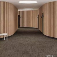 6-088604448.webp thumb image