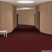 6-2471450.webp thumb image