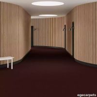 6-2471470.webp thumb image