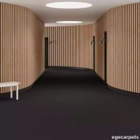 6-2471550.webp thumb image