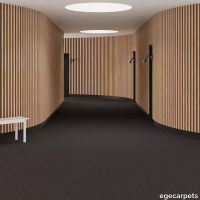 6-4025179.webp thumb image