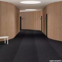 6-713103096.webp thumb image