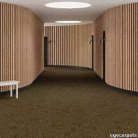 6-RF5500507.webp thumb image