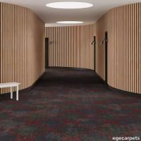 6-RF5500520.webp thumb image