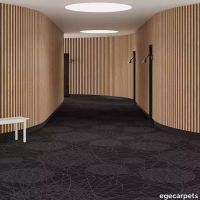 6-RF5500526.webp thumb image