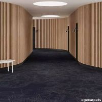 6-RF5500552.webp thumb image