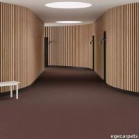 6-RF5500574.webp thumb image