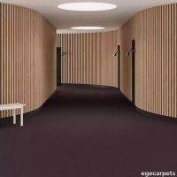 6-RF5500577.webp thumb image