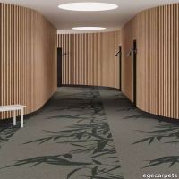 6-RF5520601.webp thumb image