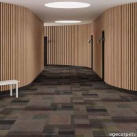 6-RF55751815.webp thumb image