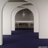 8-069258048.webp thumb image