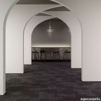 8-076703548.webp thumb image