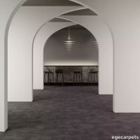 8-079702248.webp thumb image
