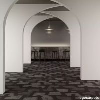 8-079703248.webp thumb image