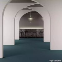 8-2471530.webp thumb image