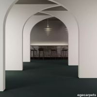 8-RF5500576.webp thumb image