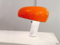 lifestyle_snoopy_orange_01.jpg thumb image