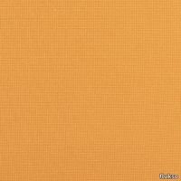 411-Dynamic.jpg thumb image