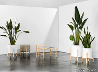 ASHI-Square-plant-pot-Hobby-Flower-358019-reld263c1fb.jpg thumb image