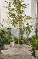 garden-vase-hobby-flower-581152-rel24f37461.jpg thumb image