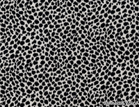 GROTTESCA-Jannelli-Volpi-560714-rel51dcd851.jpg thumb image