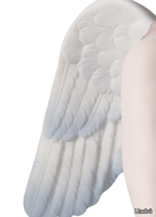 BEAUTIFUL-ANGEL-Lladró-537519-reled0b6678.jpg thumb image