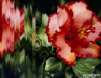 asp-07-momenti-601019-rel7bd3428a.jpg thumb image