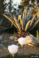 BABY-LOVE-GARDEN-Myyour-Italian-Different-Concept-97178-rel185fd63a.jpg thumb image
