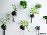cigales-wall-miniforms-354205-rel8428d741.jpg thumb image