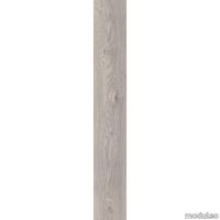 F42419E3C89CD9700C5B7B4131D12C6F thumb image