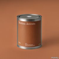 Wall Paint