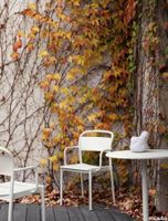 11695-en-linear-steel-armchair-linear-steel-cafe-table-70-off-white-muuto-org.tif thumb image