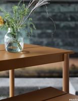 4146-en-linear-steel-table-bench-burnt-orange-silent-detail-muuto-org.tif thumb image