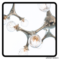 Fotos-website-12-1.png thumb image