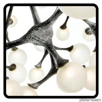 Fotos-website-9-2.png thumb image