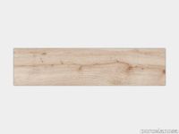 CE0003_100161044_inch_US.jpg thumb image