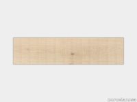 CE0003_100278768_inch_US.jpg thumb image